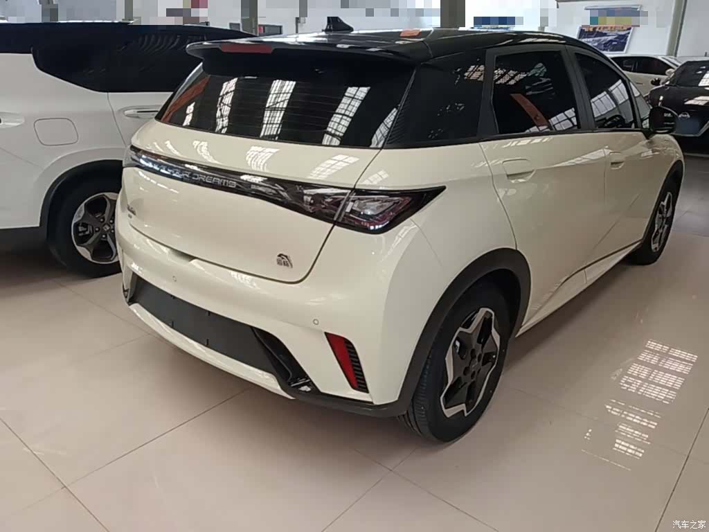 BYD Dolphin, 2023 все фото