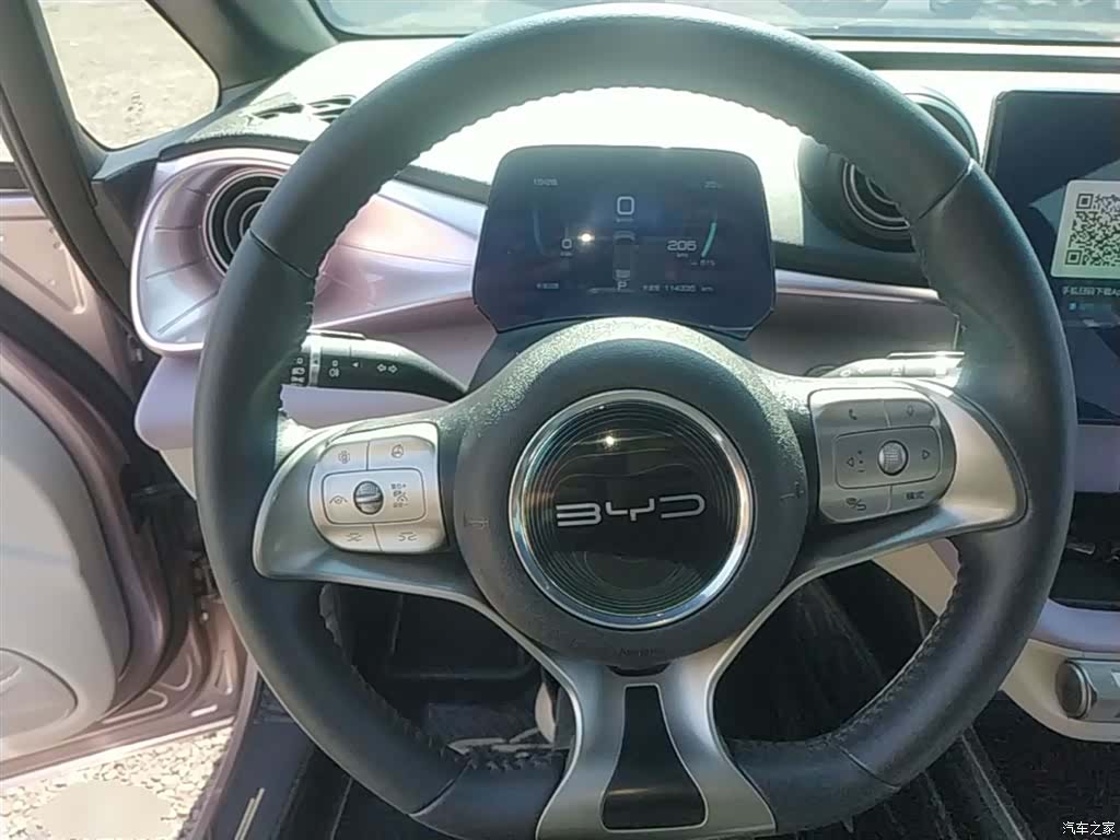 BYD Dolphin, 2022 11