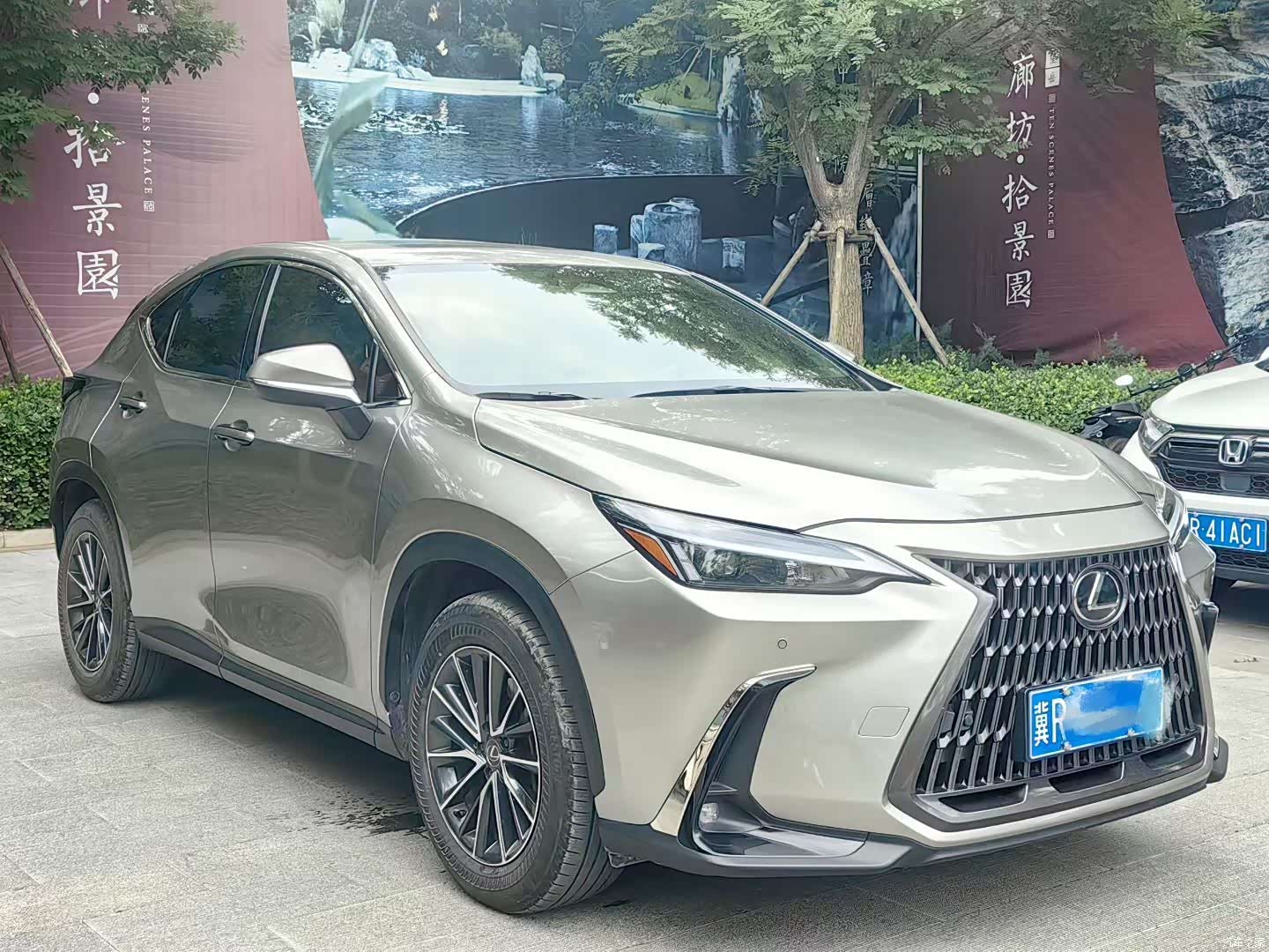 Lexus NX, 2023 2