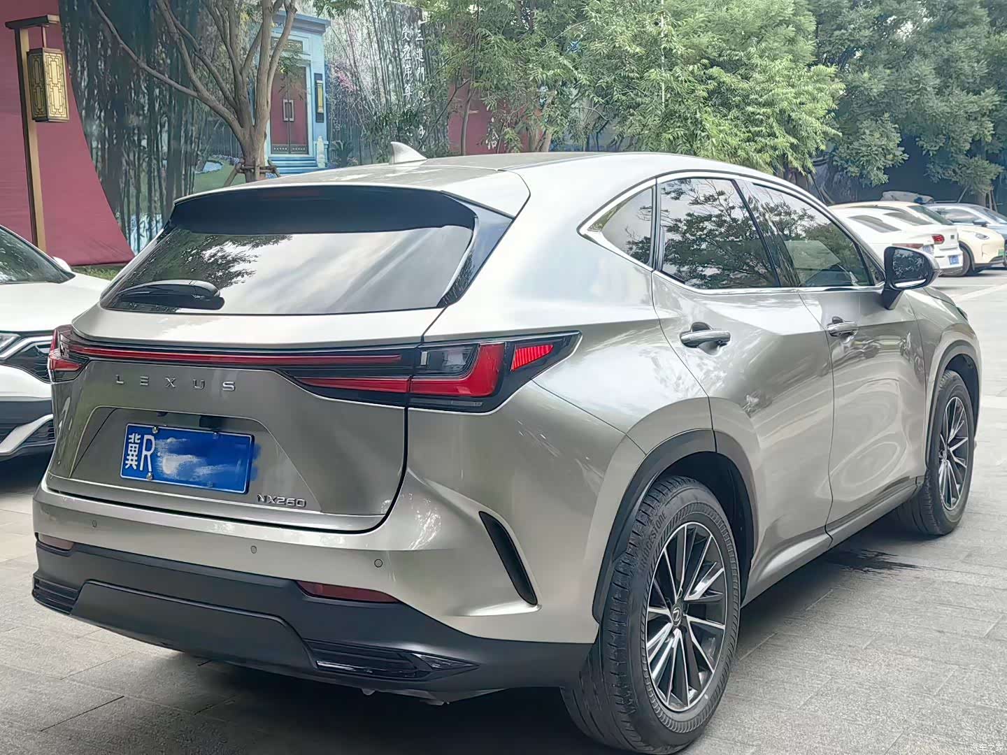 Lexus NX, 2023 6