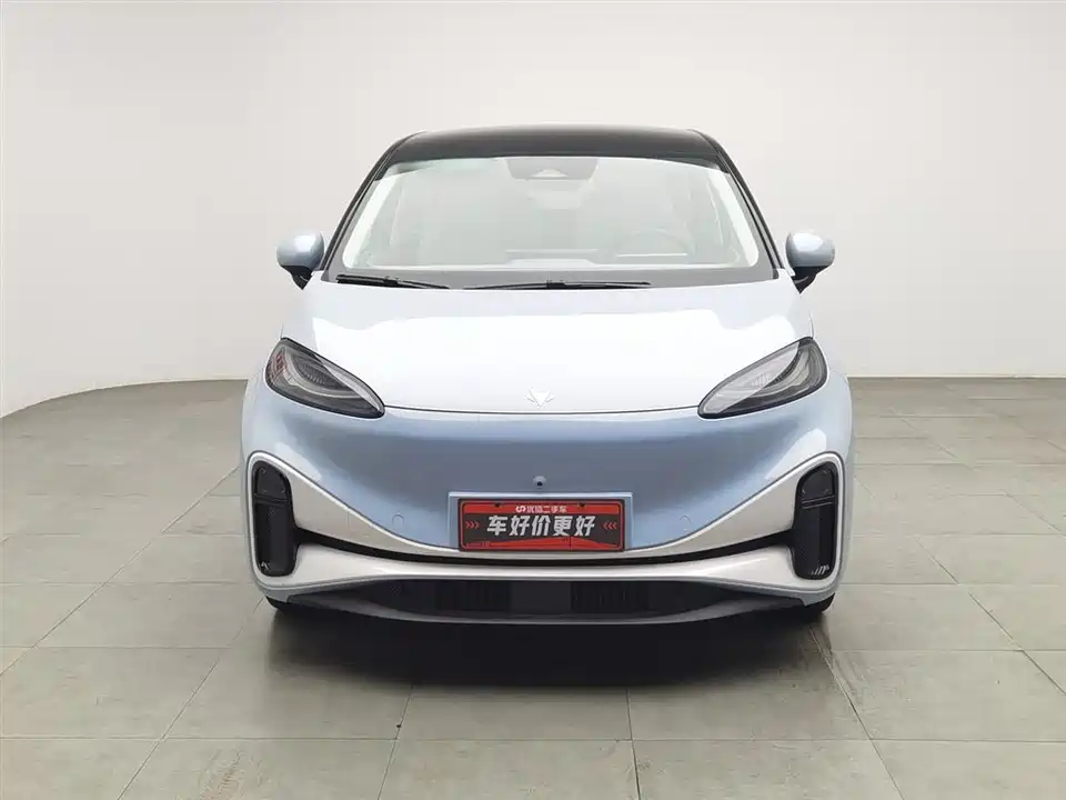 ARCFOX Polar fox koala