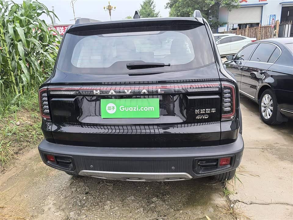 Haval Big dog