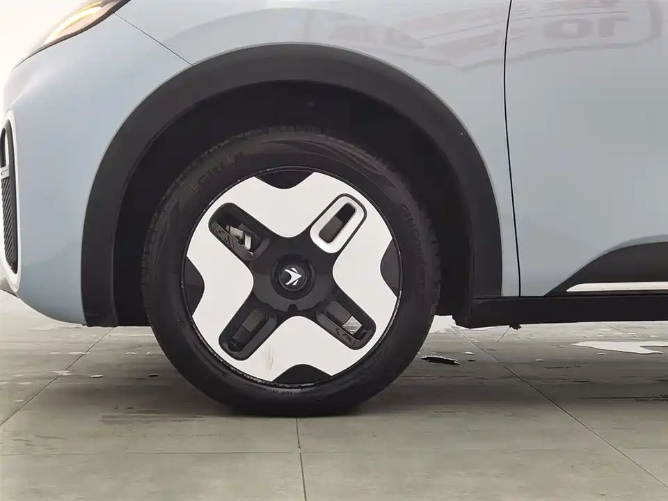 ARCFOX Polar fox koala