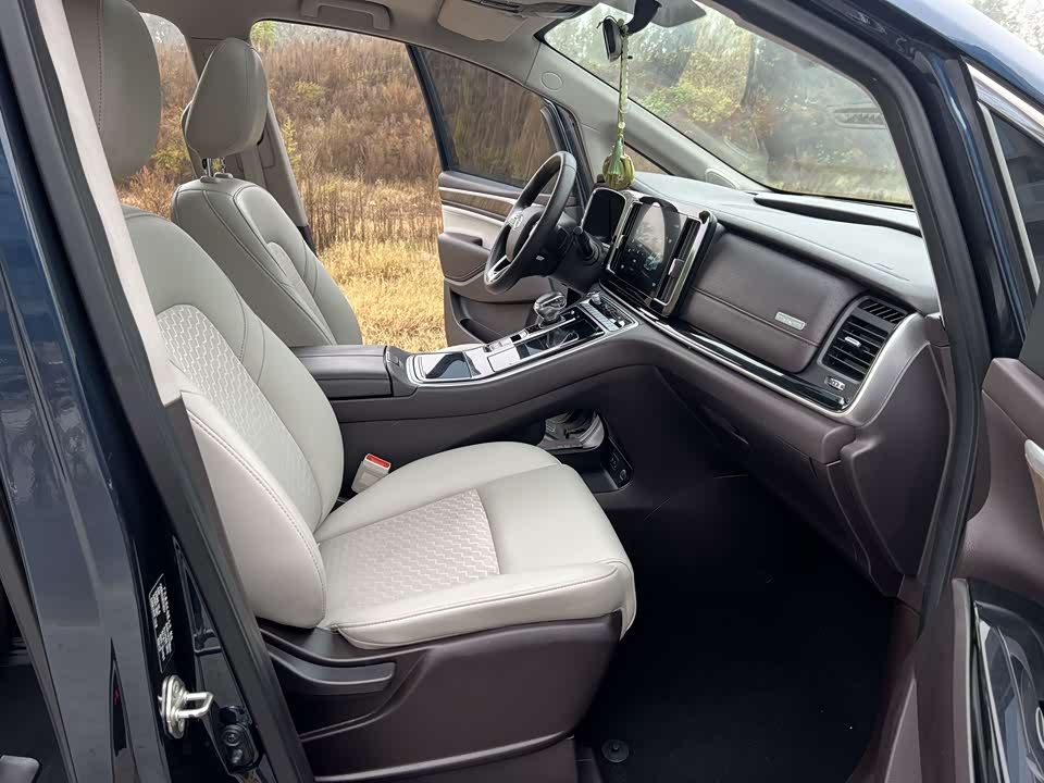 Trumpchi Trumpchi M8