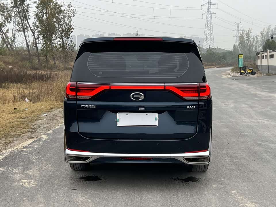 Trumpchi Trumpchi M8