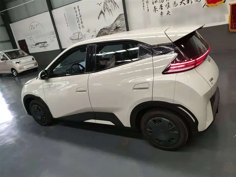 BYD Seagull