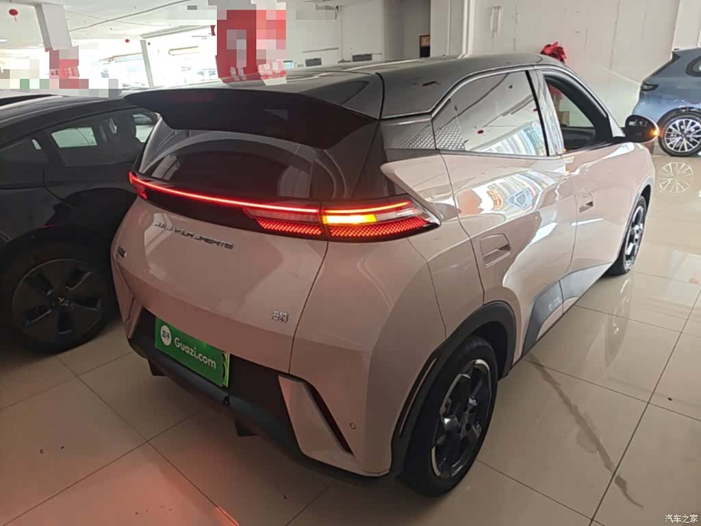 BYD Seagull, 2024 7