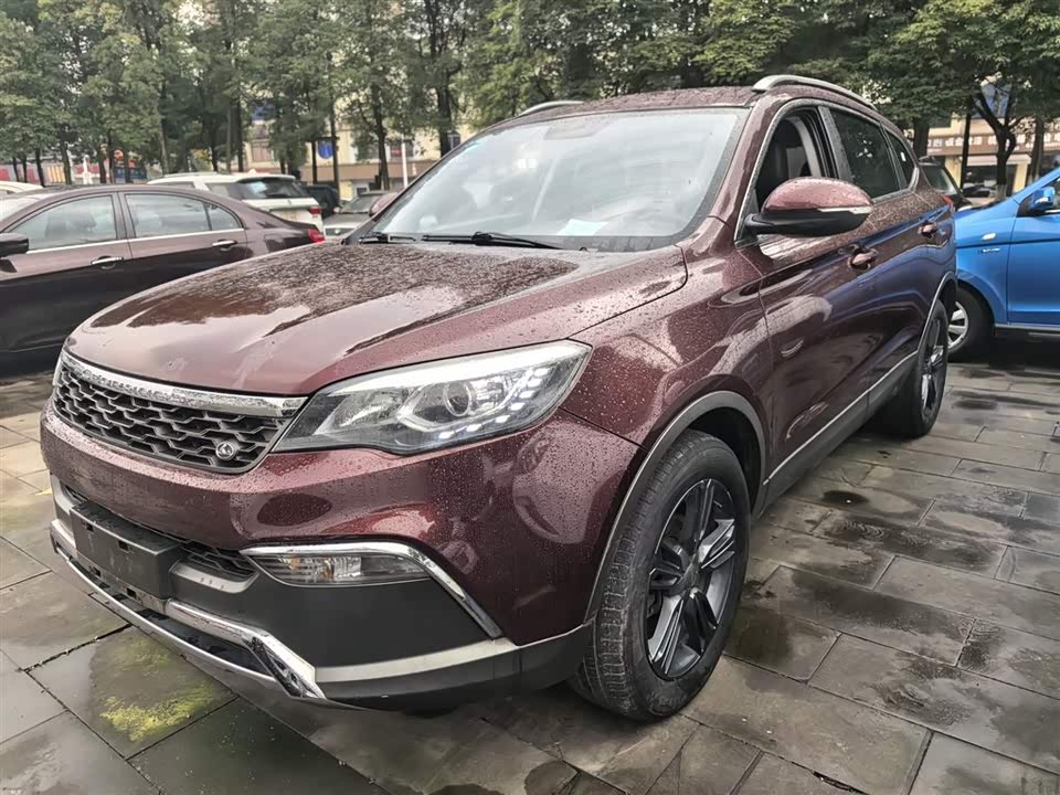 Leopaard Cheetah CS10