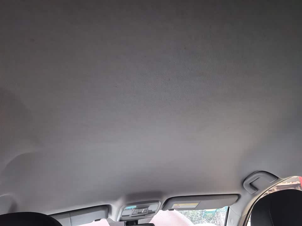 Leopaard Cheetah CS10