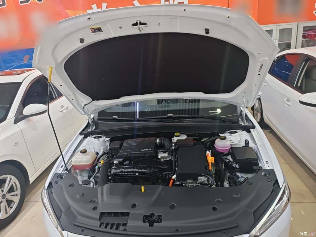 BYD Qin, 2024 20