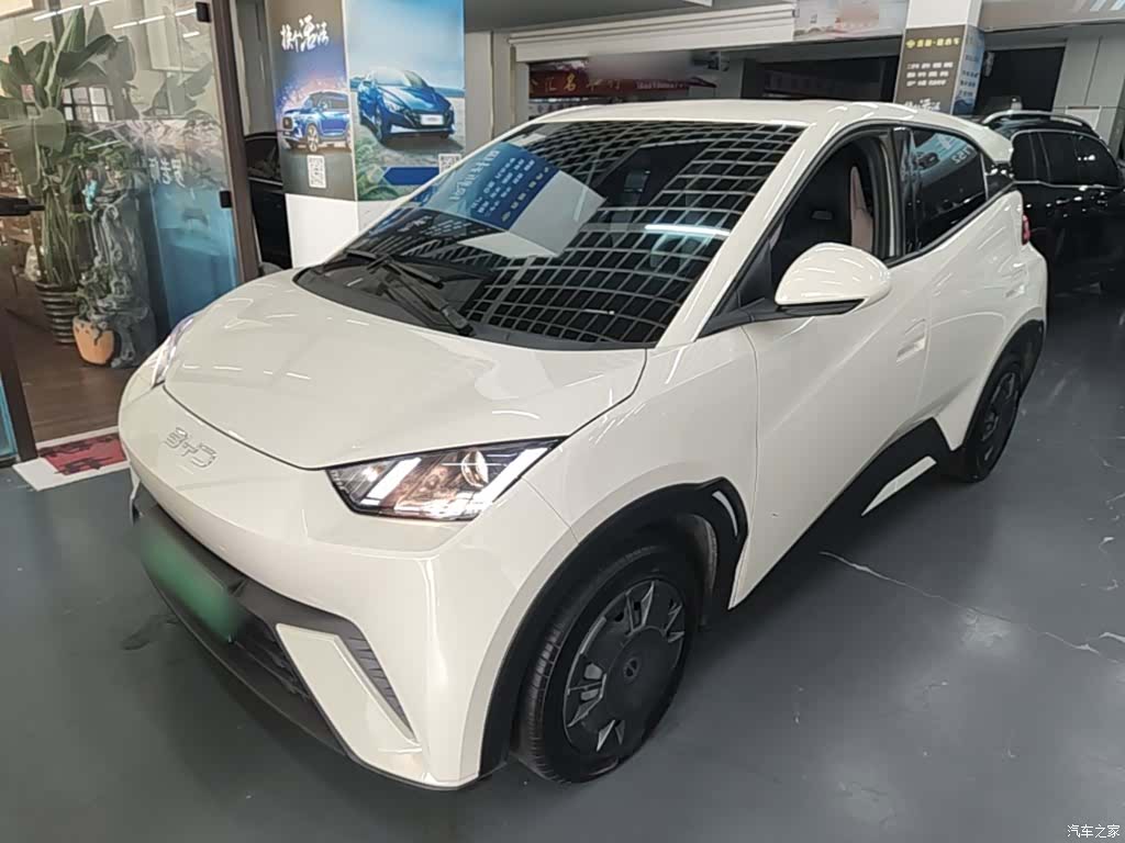 BYD Seagull, 2025 1