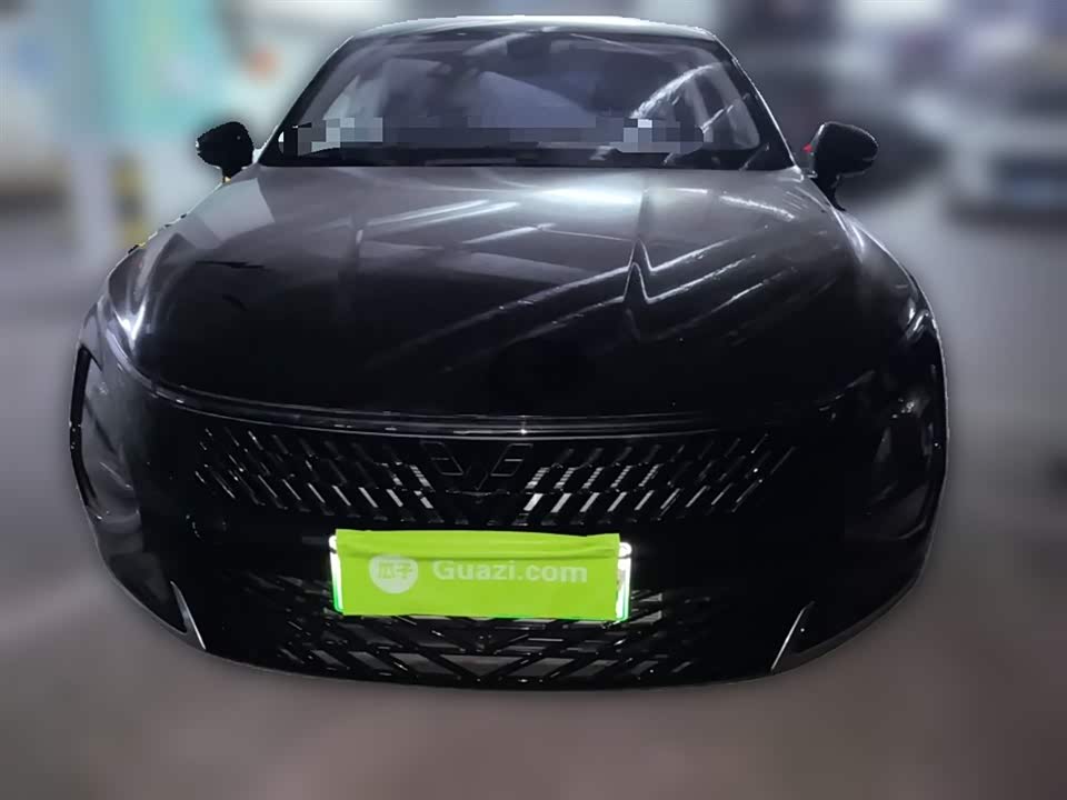 Wuling Wuling Starlight