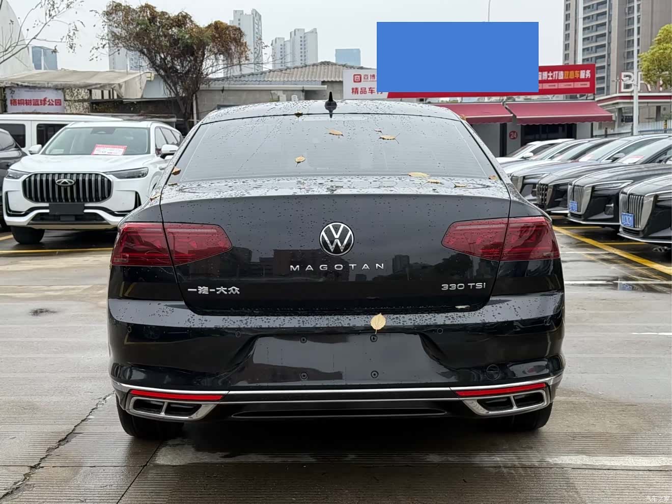 Volkswagen Magotan, 2023 4