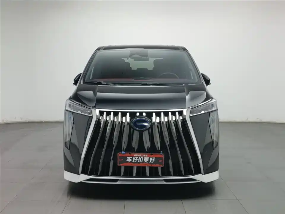 Trumpchi Trumpchi M8