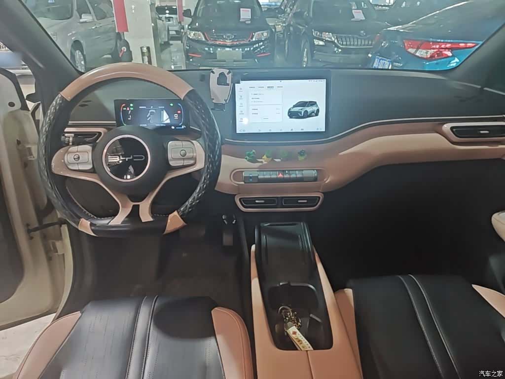 BYD Seagull, 2023 10