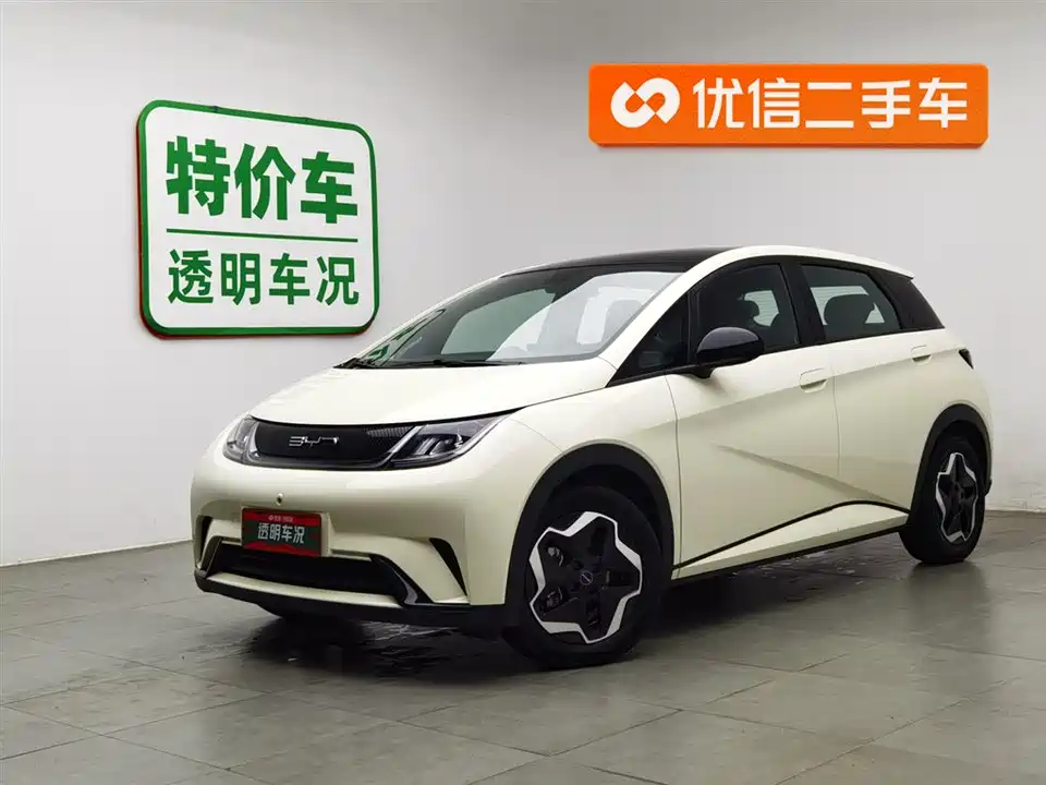 BYD dolphin