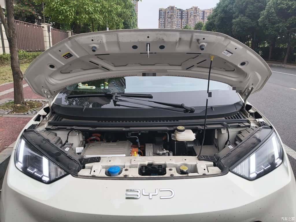 BYD Seagull, 2025 11