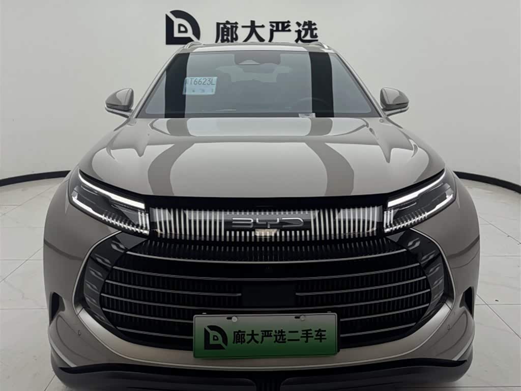 BYD 07