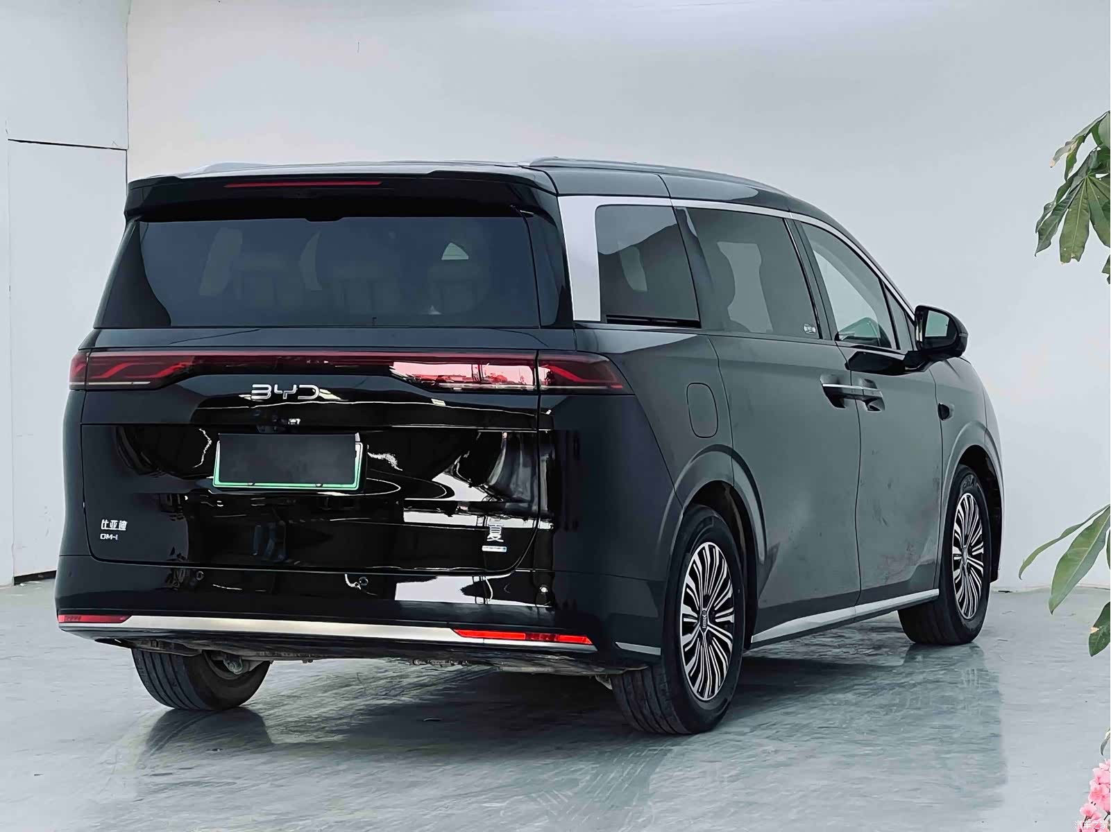 BYD Xia, 2025 9