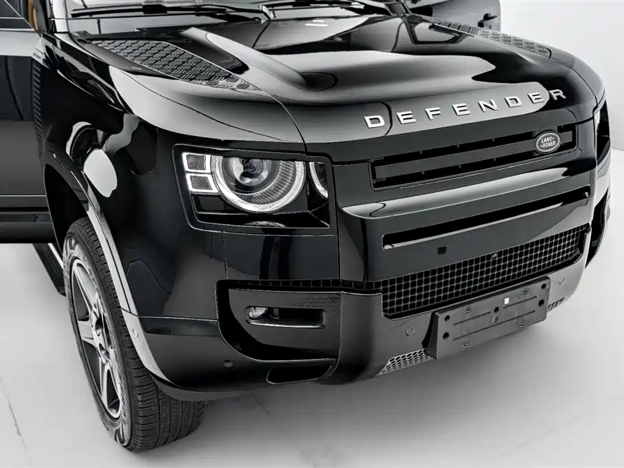 Land Rover guard
