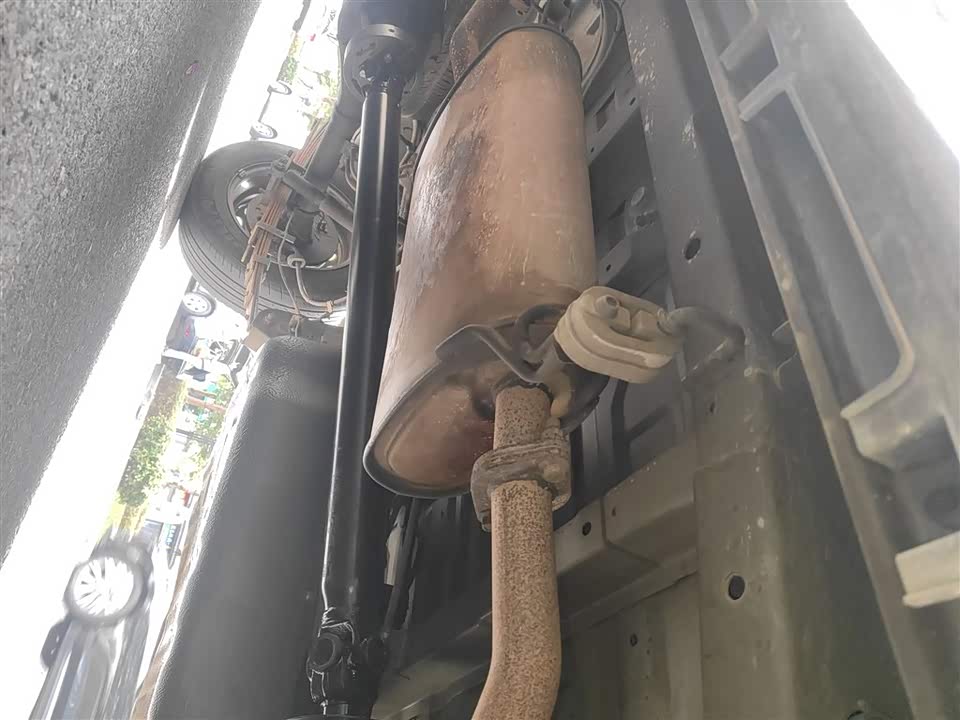 Jinbei Golden Sea Lion Classic