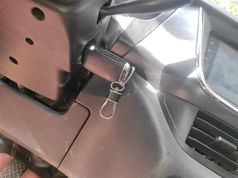 Jinbei Golden Sea Lion Classic