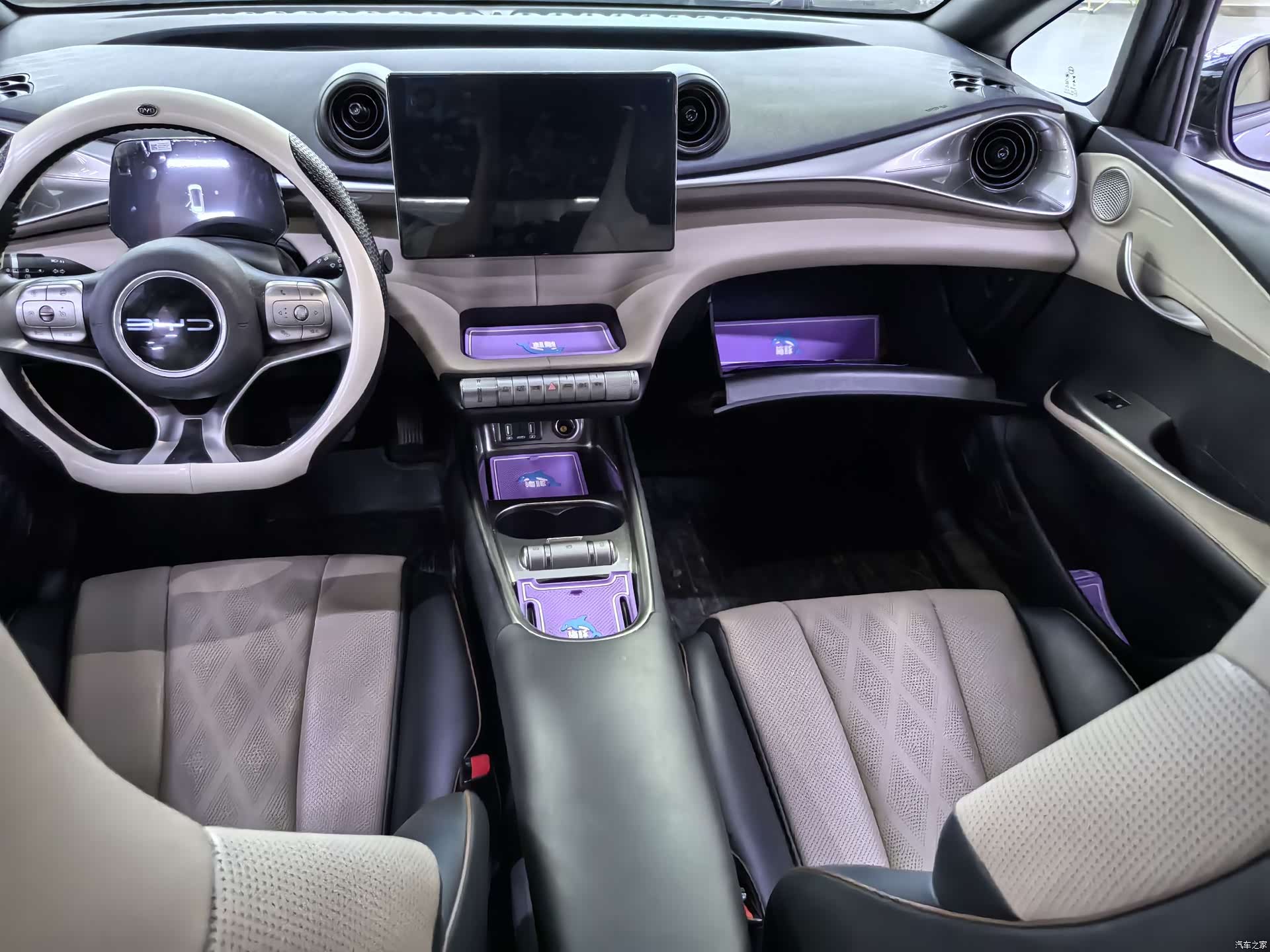 BYD Dolphin, 2023 8