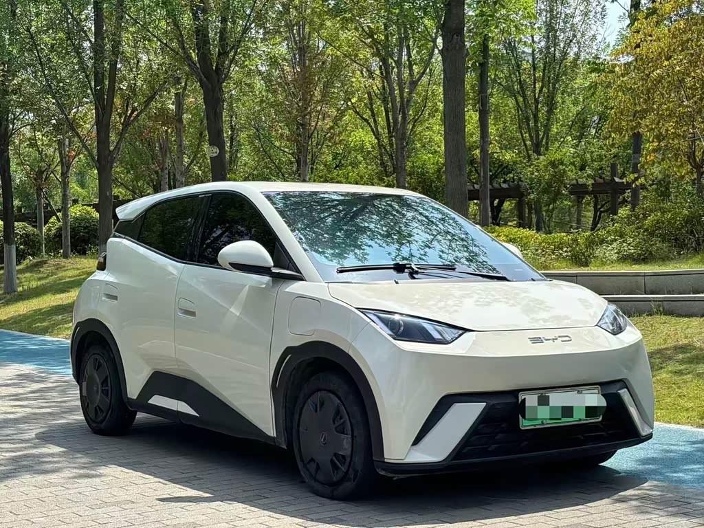 BYD Seagull