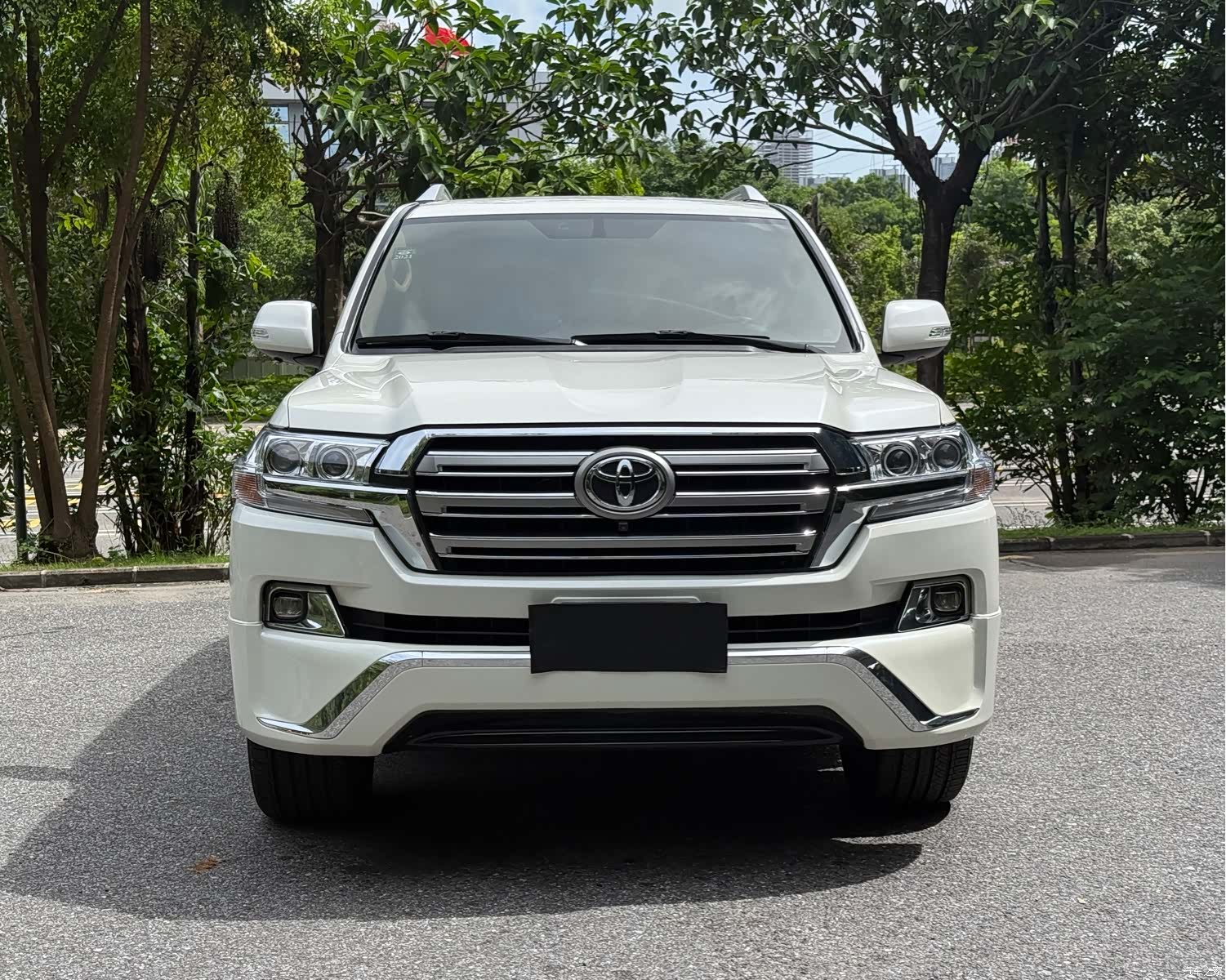 Toyota Land Cruiser, 2019 18
