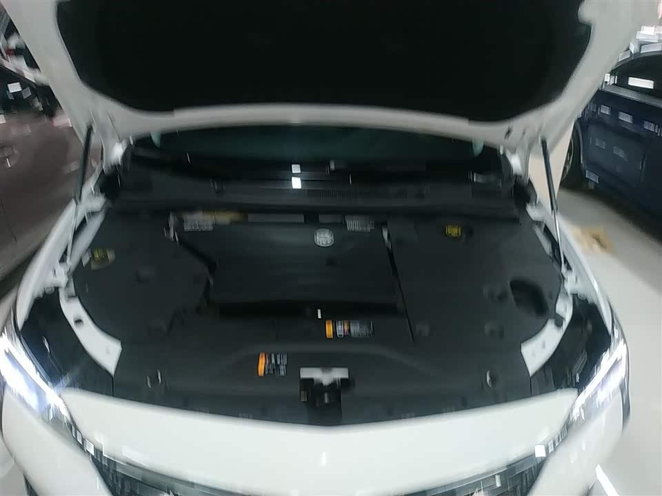 Buick Slightly blue 6