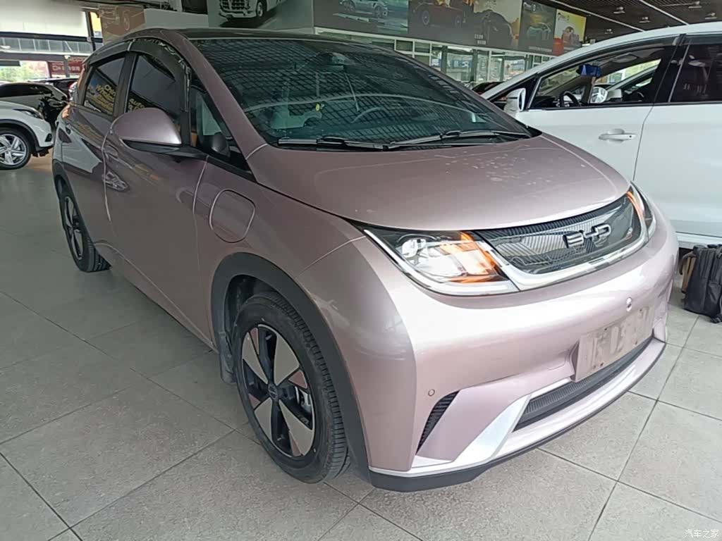 BYD Dolphin, 2024 4