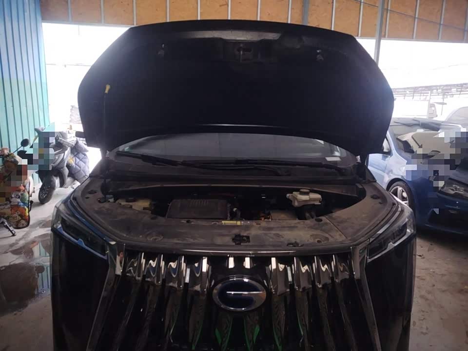 Trumpchi Trumpchi E9