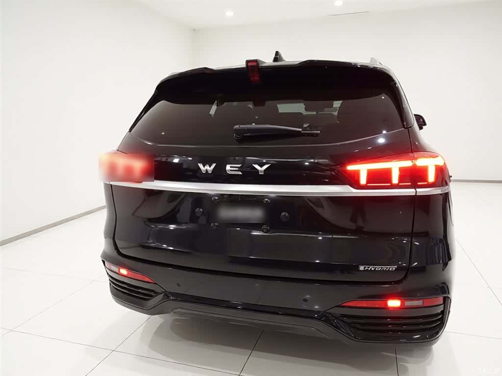 WEY DHT, 2022 6