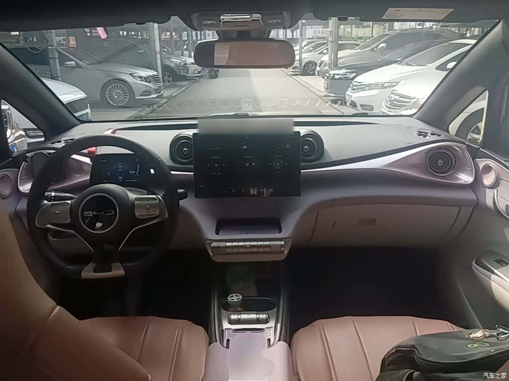 BYD Dolphin, 2023 10