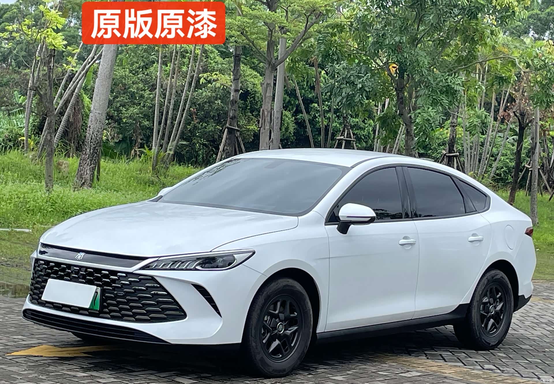 BYD Qin, 2025 1