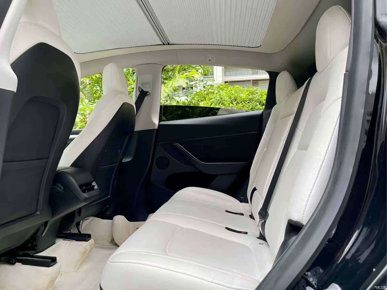 Tesla Model Y, 2021 все фото