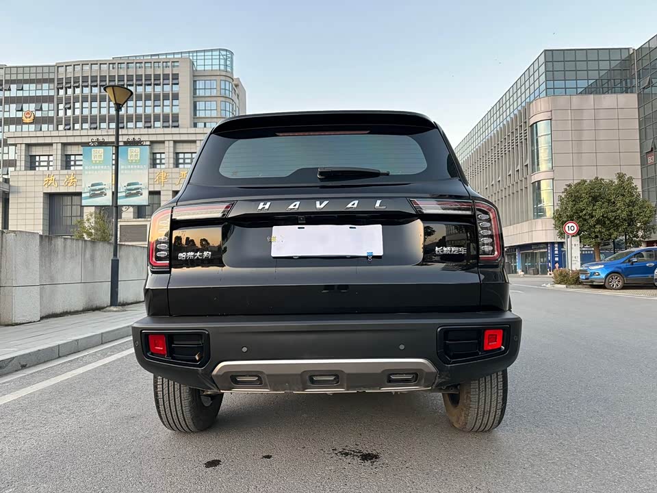 Haval Big dog