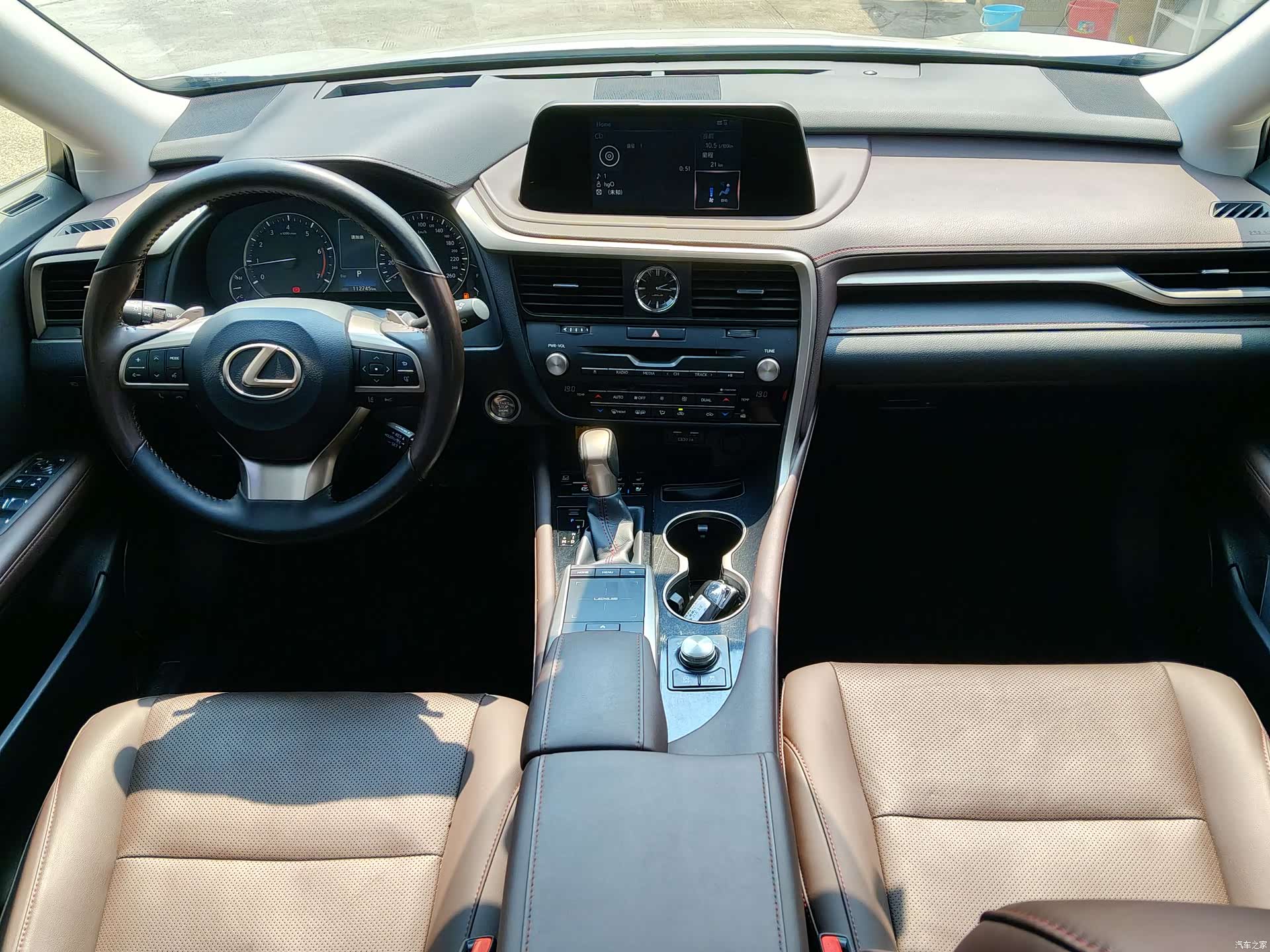 Lexus RX, 2021 13