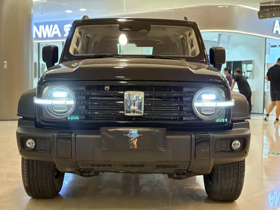 Tank 300