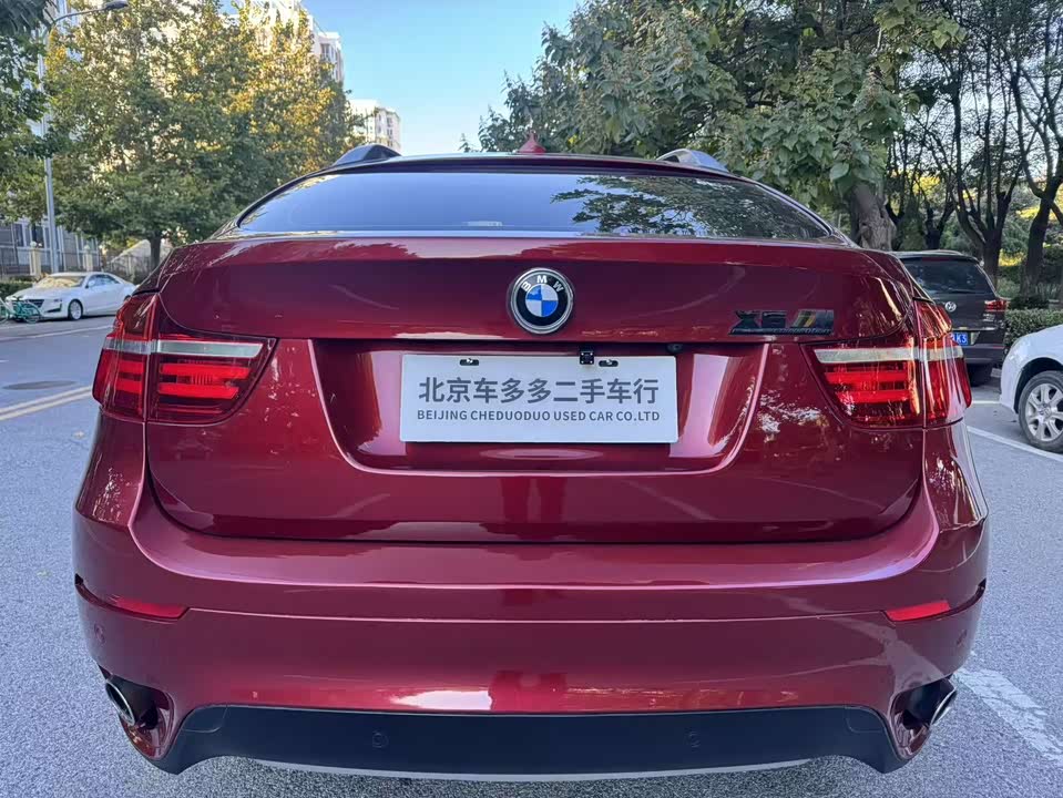 BMW X6