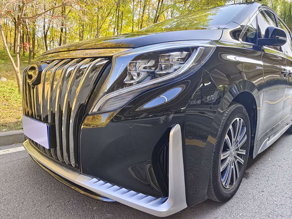 Trumpchi Trumpchi M8