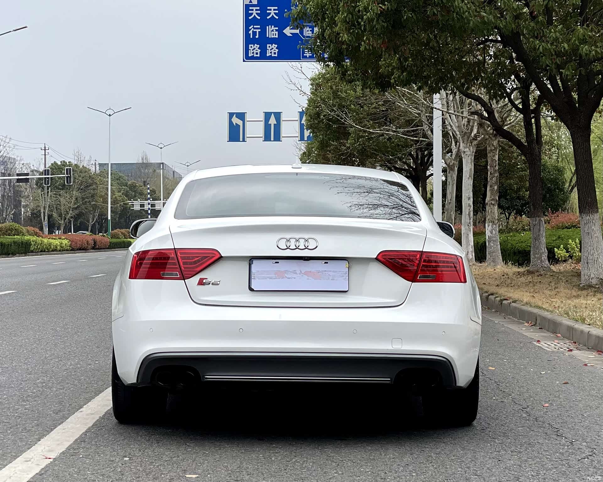 Audi S5, 2014 все фото