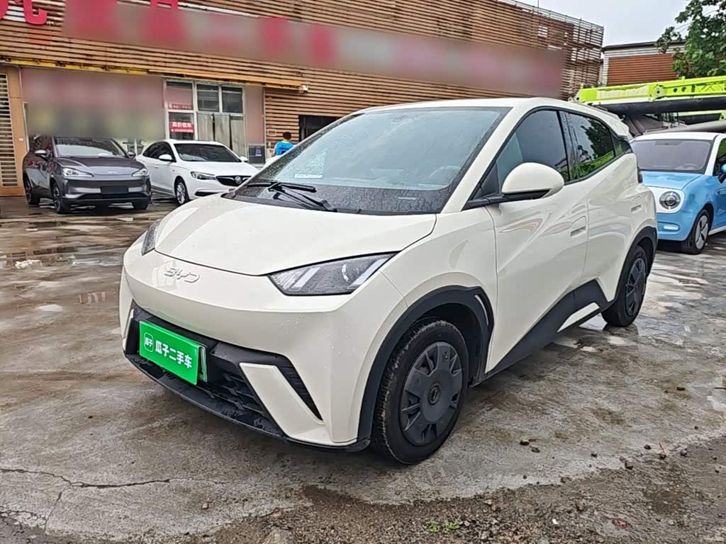 BYD Seagull