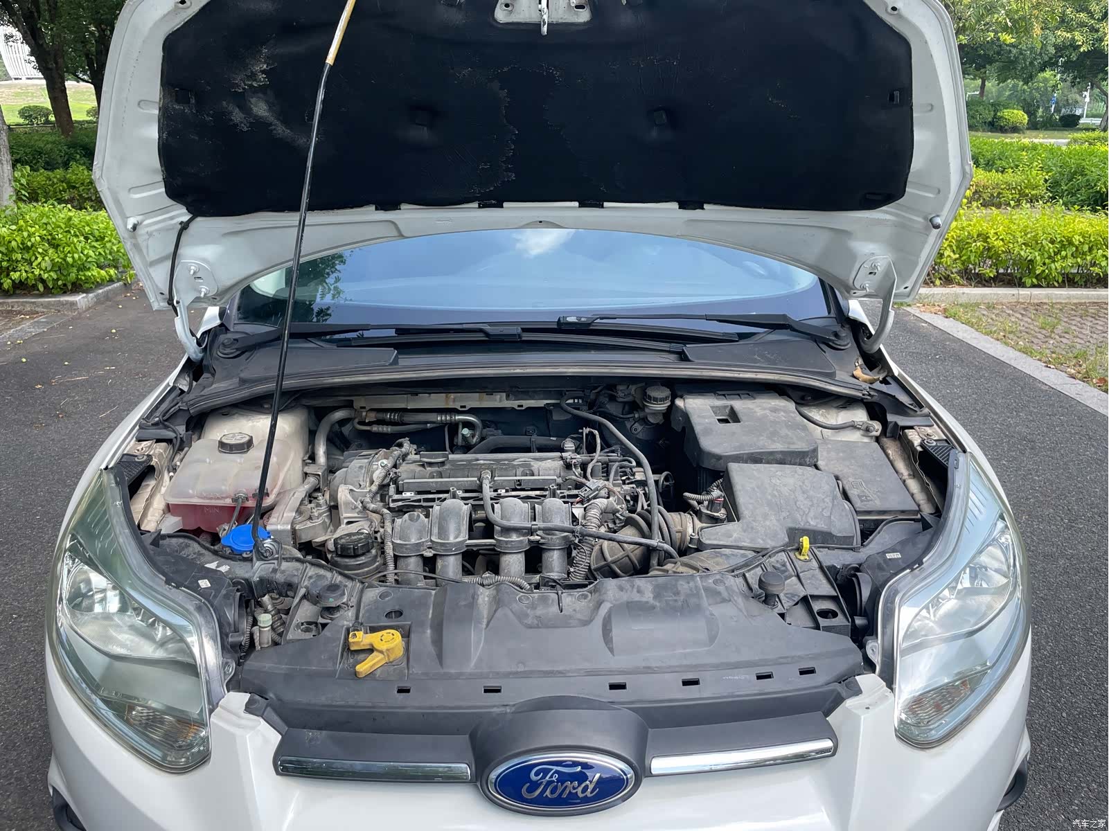 Ford Focus, 2013 12