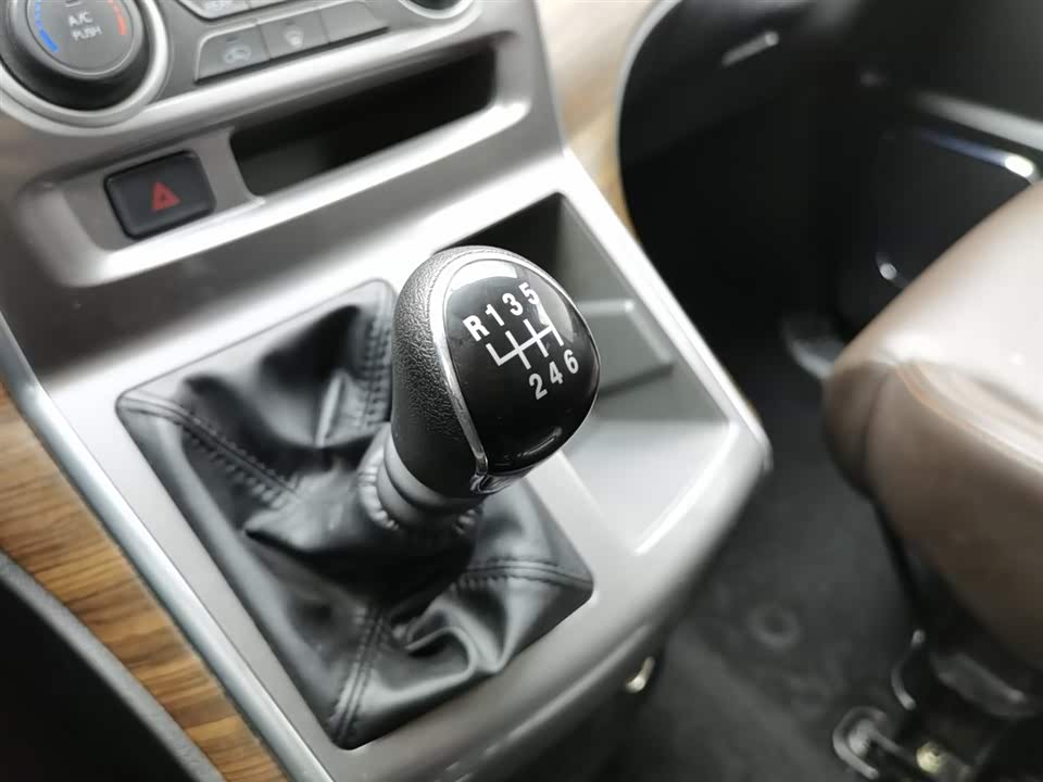 Forthing Lingzhi PLUS