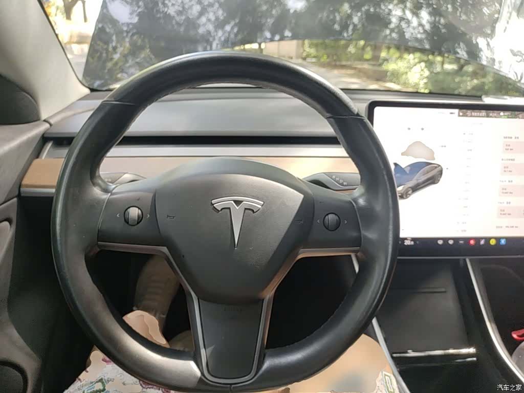 Tesla Model 3, 2019 11