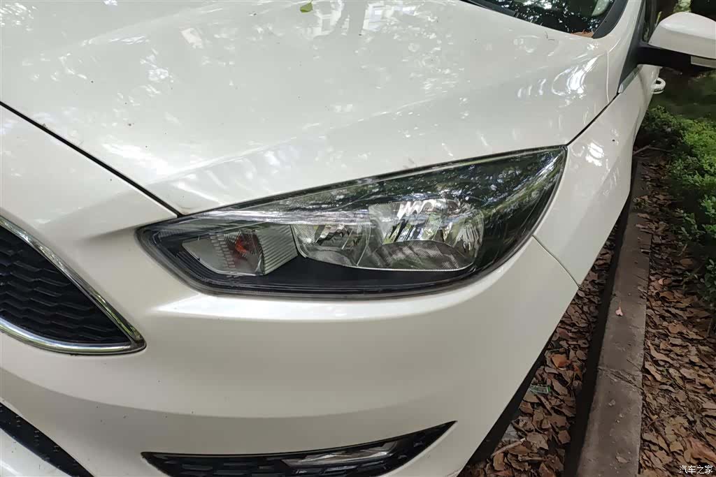 Ford Focus, 2017 все фото
