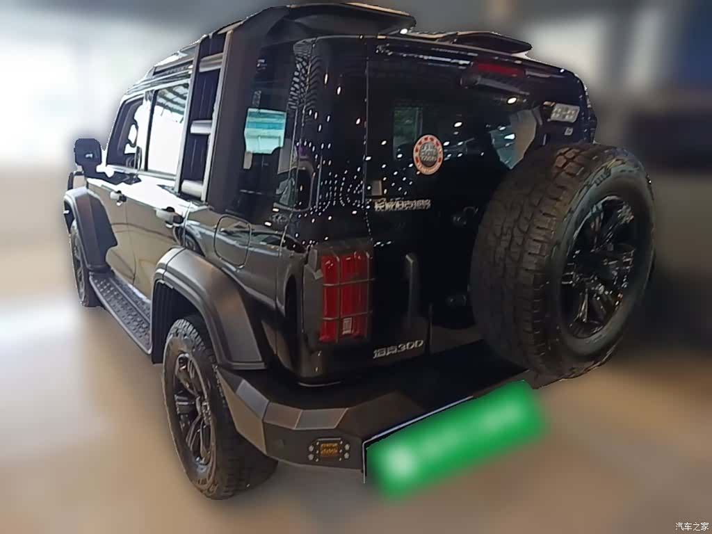 Tank 300, 2023 9