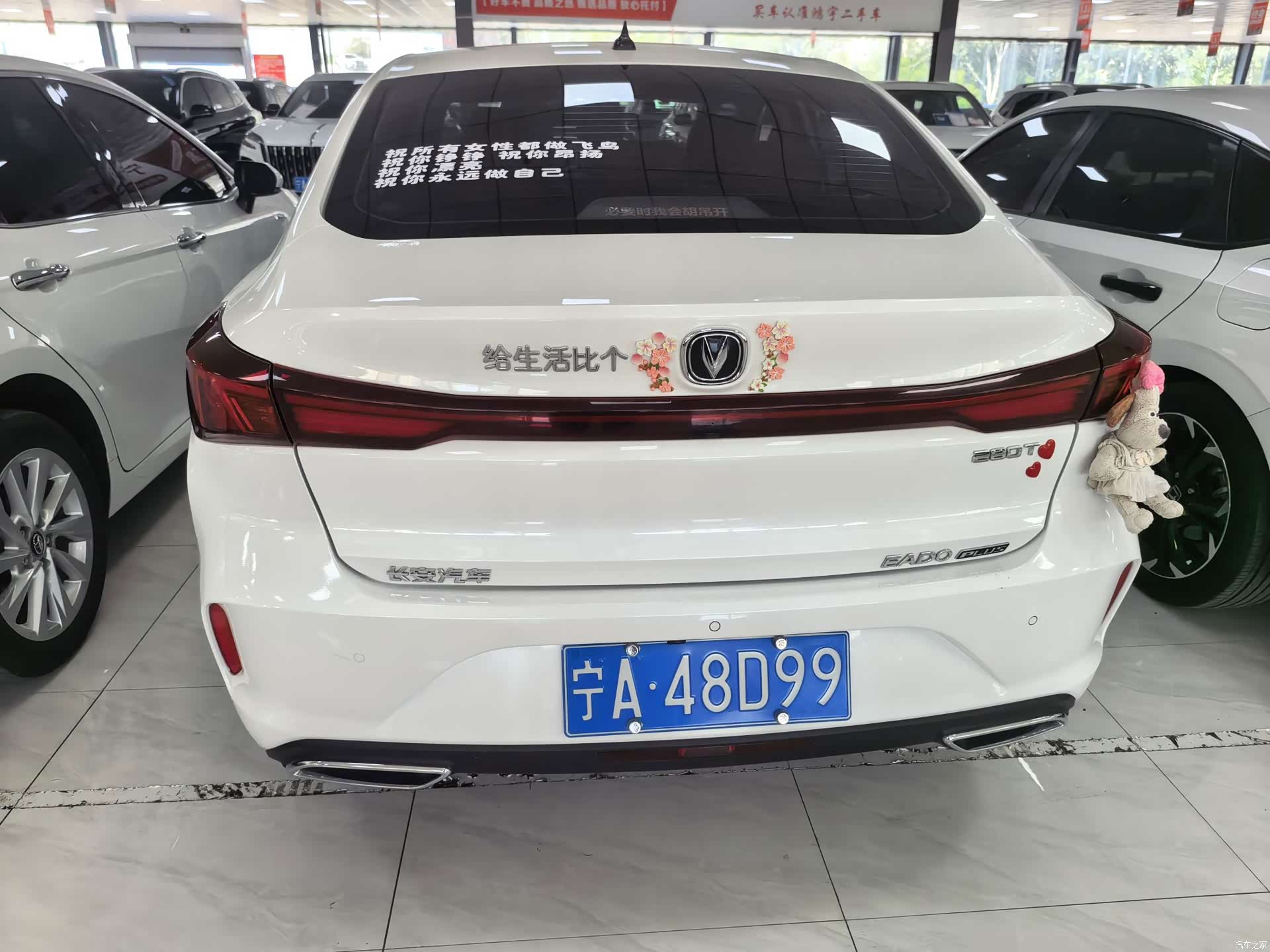 Changan Eado, 2023 8