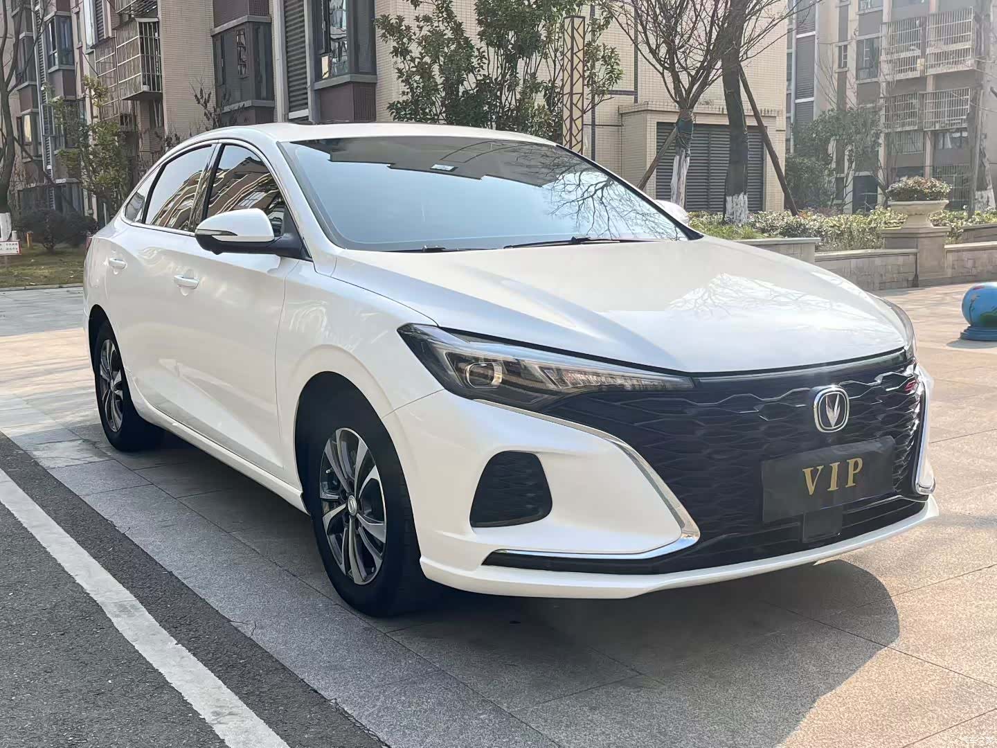 Changan Eado, 2021 2